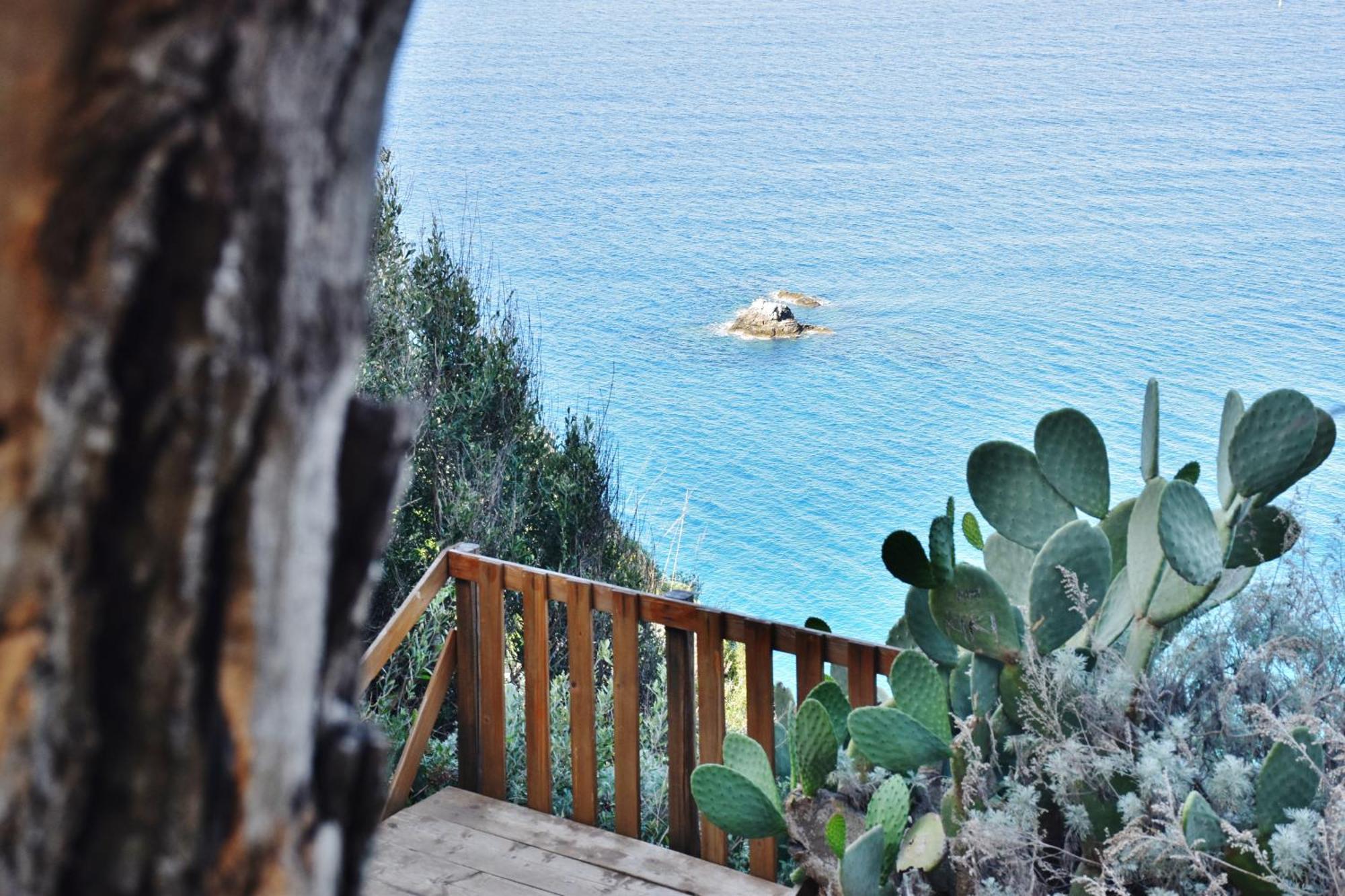 Calabria Beach Villa'S Capo Vaticano Eksteriør billede