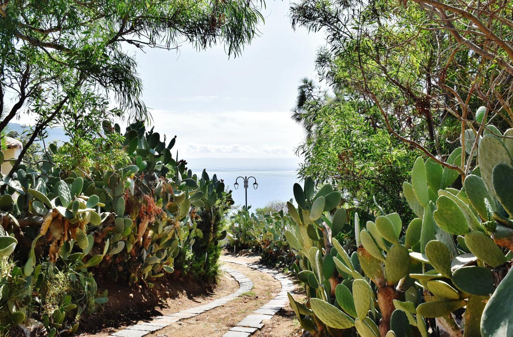 Calabria Beach Villa'S Capo Vaticano Eksteriør billede